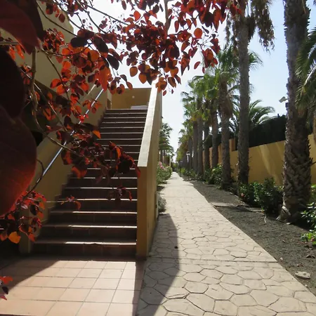 Apartament Gino House *