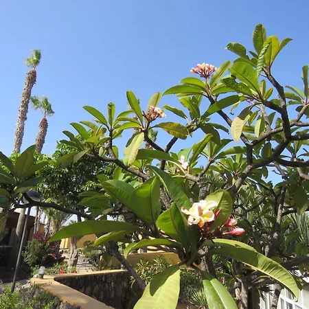 Apartament Gino House Corralejo